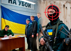 Новости СВО: ВСУ нанесли контрудар под Харьковом, трупы карателей гниют в Лимане