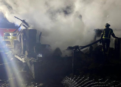 60 кур заживо сгорели в пожаре в ЛНР 