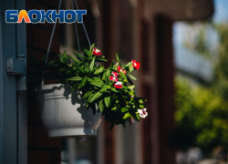 В ЛНР ненадолго вернулась аномальная жара