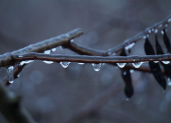 Дождь, туман и гололёд одновременно: как пережить 17 декабря в ЛНР