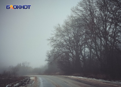 Минприроды ЛНР: в регионе ожидается теплая зима и мало осадков