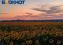 Предприятия ЛНР намерены выйти на международные рынки: от муки до водки