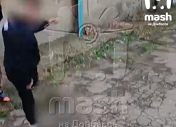 Снимали и смеялись: малолетние живодёры из Первомайска ЛНР избили котенка и выложили видео в соцсети