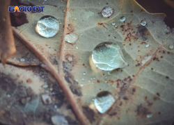 В понедельник в Луганске ожидается небольшой дождь и ветер