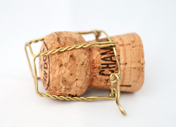 Житель Лисичанска украл шампанское и пиво у 19-летней девушки