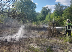 За два дня в ЛНР зафиксировано 19 пожаров в экосистеме