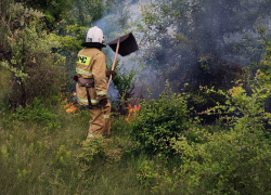 В ЛНР с начала года зафиксировали около 4 тысяч пожаров