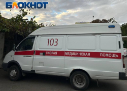 Больше 100 детей из Донбасса сняты с поезда с подозрением на грипп А: одна из девочек умерла по дороге из Сибири
