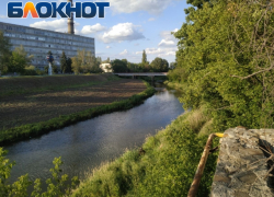 Правительство РФ выделит 52 миллиона рублей на экологические проекты в Донбассе и Новороссии