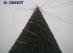 Студентка Академии Матусовского стала послом ЛНР в новогодней столице России