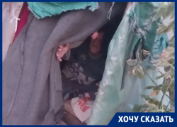«Даже скотину жалко»: пожилой луганчанин второй год живет на улице в тряпичном шалаше 