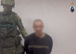 В ЛНР задержали укронациста, добровольно вступившего в «Правый сектор»*