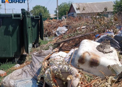 С 1 января в ЛНР начинает работу единый региональный оператор в сфере обращения с ТКО