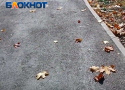 Вывезено 190 кубометров веток и листвы: в Луганске состоялся очередной городской субботник 