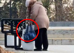 Полиция ЛНР проверила завирусившийся видеоролик с «воровством» цветов в луганском сквере