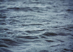 Трагедия на воде: в ЛНР утонул местный житель