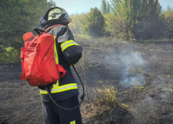 Природные пожары бушуют в ЛНР: за сутки ликвидировано 63 возгорания, спасатели отстаивают жилые дома