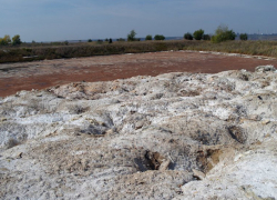 Работы по ликвидации полигона химических отходов в районе Лисичанска ЛНР могут задержаться из-за боевых действий