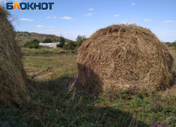 Для сельской местности ЛНР подготовлен список мероприятий по благоустройству