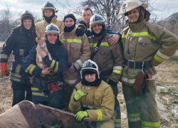 Котик беспомощно прижался в углу задымлённой кухни: огнеборцы Алчевска ЛНР спасли пушистого погорельца 