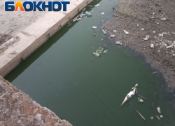 Обстановка на берегах Луганского моря