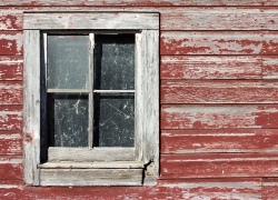 30 дней на спасение: в ЛНР начинают массово изымать пустующие квартиры?