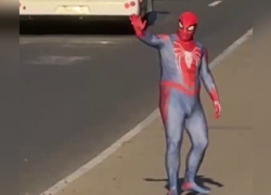 В Луганске засняли на видео Человека-паука