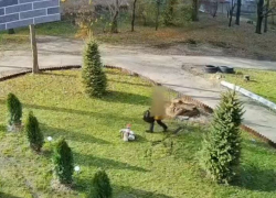 Школьник из Луганска утащил садовый маяк из двора, благоустроенного руками местных