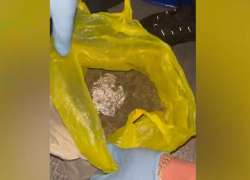 В ЛНР поймали жителя Алчевска, прятавшего в лесу марихуану