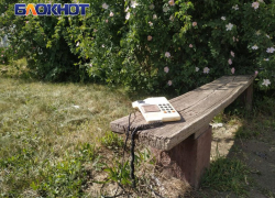 В ЛНР к концу года заработает служба 122