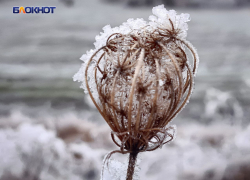 В ЛНР с 26 сентября ожидаются первые заморозки