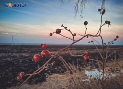 В ЛНР начали прогнозировать погоду с точностью до 95%