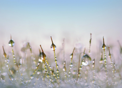 В ЛНР 4 декабря обещают дождь с мокрым снегом и туман