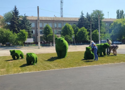 В Луганске на улице Оборонной появились зеленые медведи