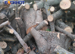 В ЛНР ввели максимальные цены на уголь и дрова