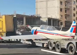 В бывший лётный городок в Луганске прилетел легкокрылый красавец