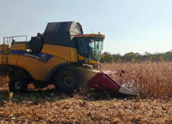 Уборка кукурузы на зерно стартовала в ЛНР 