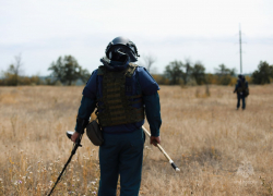Один человек пострадал при пожарах в ЛНР: спасатели подвели итоги суток
