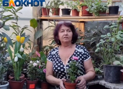 Цветовод из Луганска рассказала, как уберечь цветы, подаренные на 8 Марта