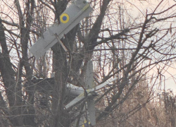 Украинский БПЛА самолетного типа запутался в ветках дерева в Кировске