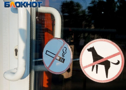 В ЛНР ужесточили ограничения для курильщиков