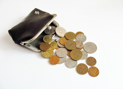 Выбор в пользу кошелька: как мамам в ЛНР получить больше денег на ребенка?