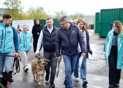 Остановить домашнее насилие, спасти животных, помочь матерям — топ-3 инициативы «Новых людей» для Луганска