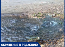 Источник знаний забил ключом воды: возле школы №12 в Луганске прорвало трубу