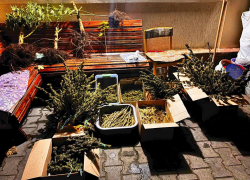 Десятки боеприпасов и 10 кило наркотиков хранил житель ЛНР у себя дома