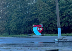 Жителей Луганска призвали покосить траву и амброзию