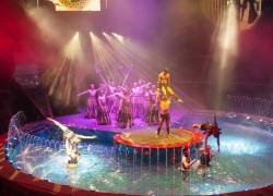 История приключений Одиссея, эффектные трюки и очаровательные животные: в Луганске начались гастроли Росгосцирка 