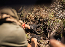 15 взрывоопасных предметов и 3 аварийных ситуации выявлено в ЛНР за сутки