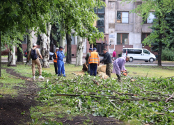 В Стаханове ЛНР ураганный ветер повалил десятки деревьев и оборвал провода