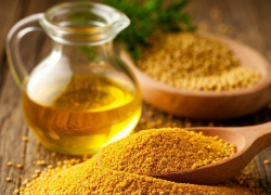 В Антраците ЛНР построят горчичный завод